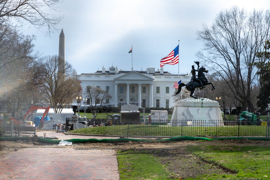 New Presidential Candidates Unveiled in Minutes, Signaling Rapid Political Shifts
