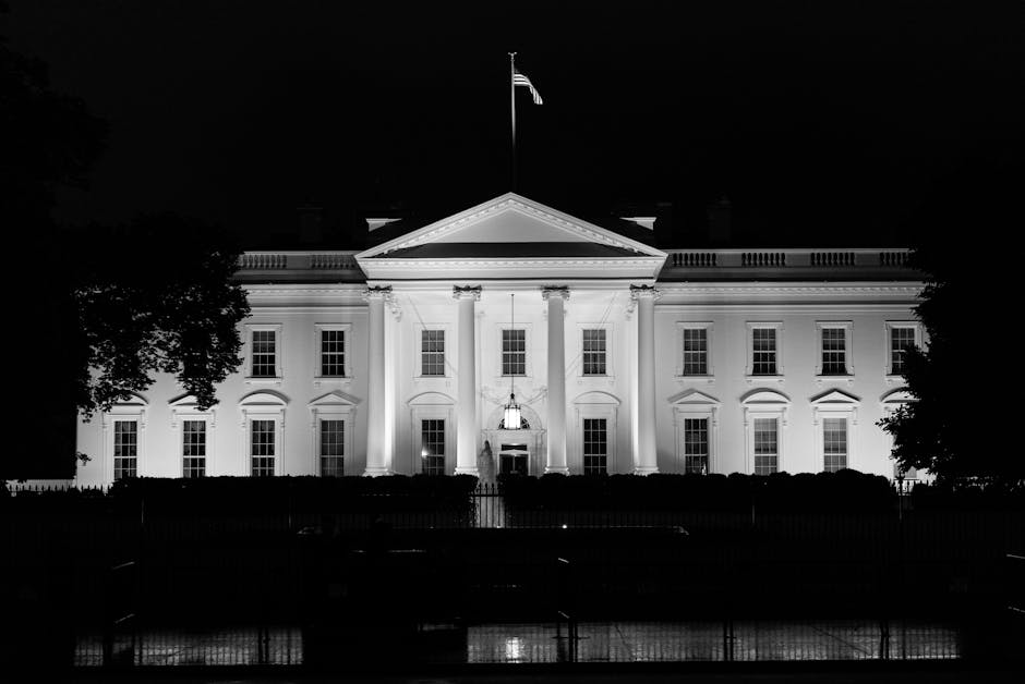 New Presidential Candidates Unveiled in Minutes, Signaling Rapid Political Shifts