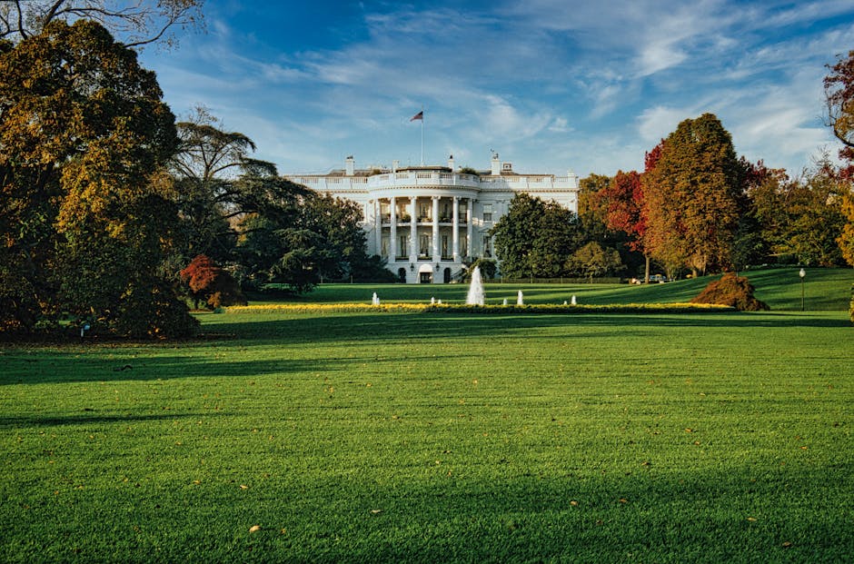 New Presidential Candidates Unveiled in Minutes, Signaling Rapid Political Shifts