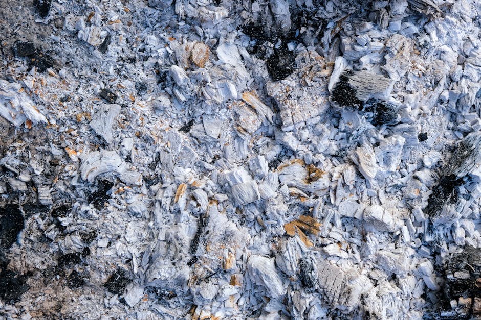 The Most Unusual Places Ashes Have Been Scattered in New Zealand