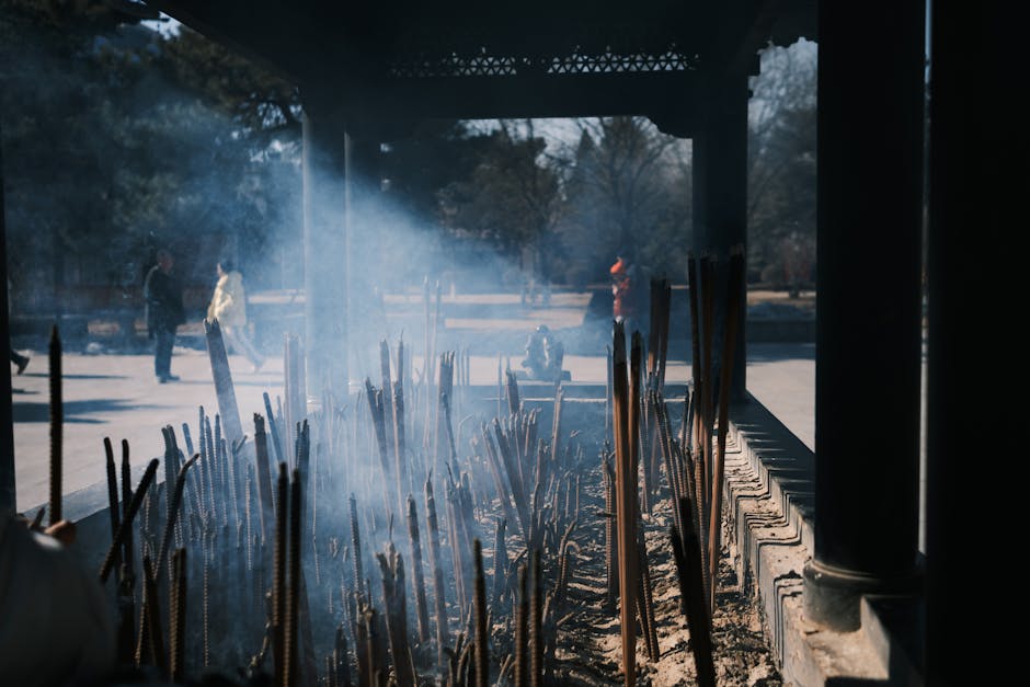 The Most Unusual Places Ashes Have Been Scattered in New Zealand